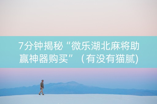 7分钟揭秘“微乐湖北麻将助赢神器购买”（有没有猫腻)