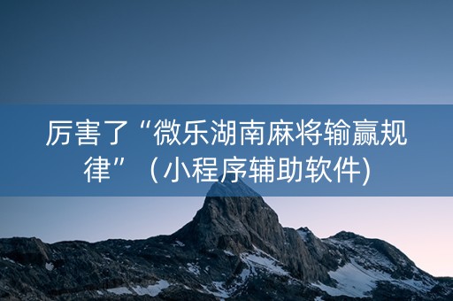 厉害了“微乐湖南麻将输赢规律”（小程序辅助软件)