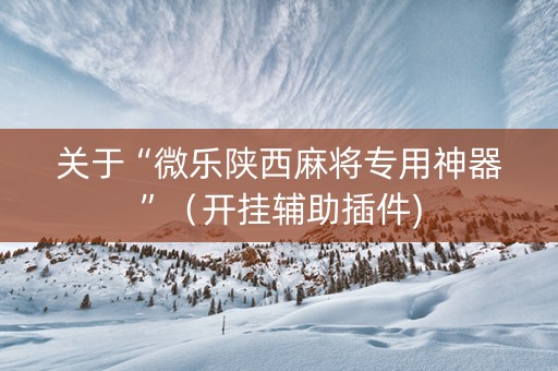 关于“微乐陕西麻将专用神器”（开挂辅助插件)