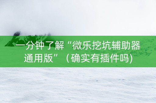 一分钟了解“微乐挖坑辅助器通用版”（确实有插件吗)