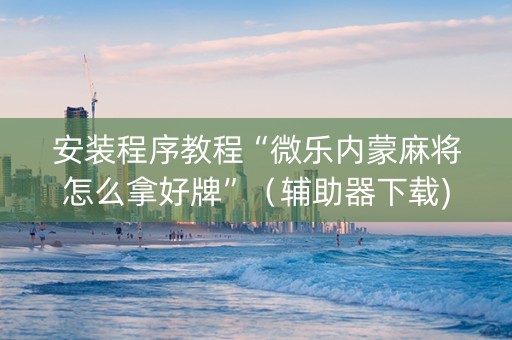 安装程序教程“微乐内蒙麻将怎么拿好牌”（辅助器下载)