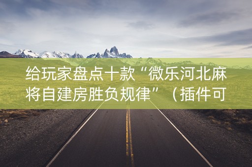 给玩家盘点十款“微乐河北麻将自建房胜负规律”（插件可信吗)