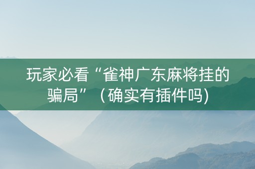 玩家必看“雀神广东麻将挂的骗局”（确实有插件吗)
