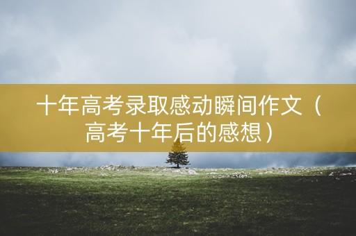 十年高考录取感动瞬间作文（高考十年后的感想）
