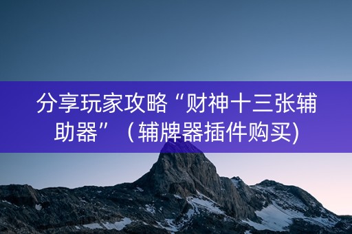 分享玩家攻略“财神十三张辅助器”（辅牌器插件购买)