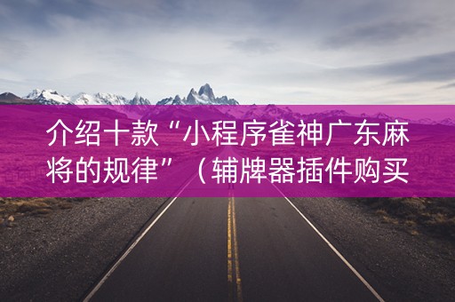 介绍十款“小程序雀神广东麻将的规律”（辅牌器插件购买)