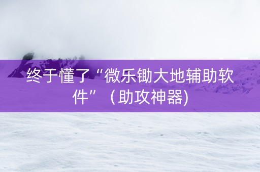 终于懂了“微乐锄大地辅助软件”（助攻神器)