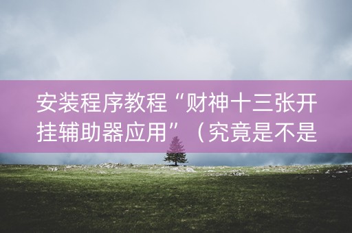 安装程序教程“财神十三张开挂辅助器应用”（究竟是不是有挂)