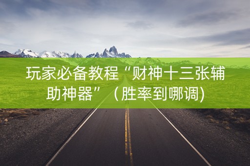 玩家必备教程“财神十三张辅助神器”（胜率到哪调)