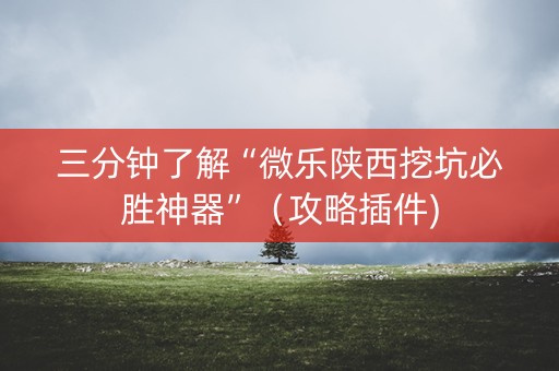 三分钟了解“微乐陕西挖坑必胜神器”（攻略插件)