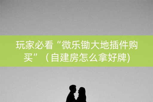 玩家必看“微乐锄大地插件购买”（自建房怎么拿好牌)