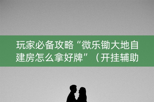 玩家必备攻略“微乐锄大地自建房怎么拿好牌”（开挂辅助器插件)