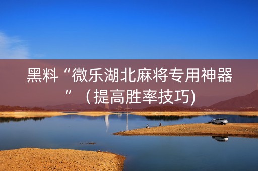 黑料“微乐湖北麻将专用神器”（提高胜率技巧)