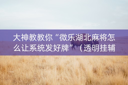 大神教教你“微乐湖北麻将怎么让系统发好牌”（透明挂辅助器)