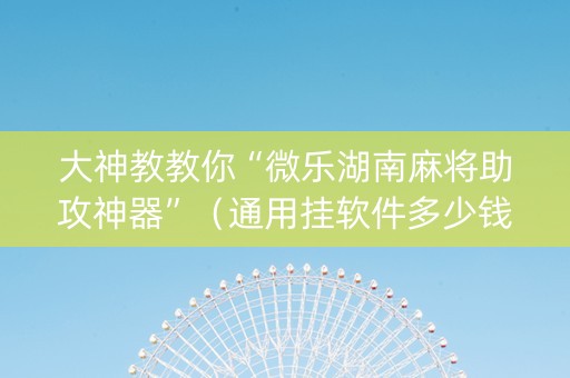 大神教教你“微乐湖南麻将助攻神器”（通用挂软件多少钱)
