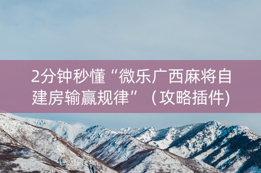 2分钟秒懂“微乐广西麻将自建房输赢规律”（攻略插件)