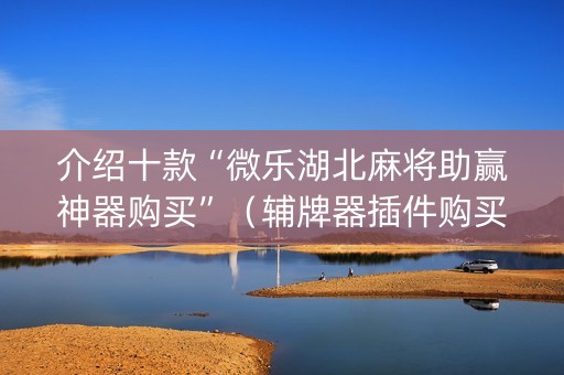 介绍十款“微乐湖北麻将助赢神器购买”（辅牌器插件购买)