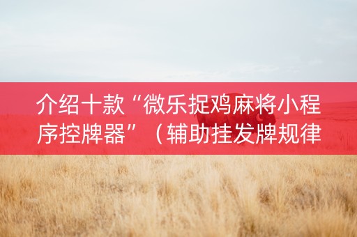 介绍十款“微乐捉鸡麻将小程序控牌器”（辅助挂发牌规律)