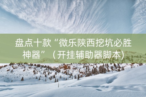 盘点十款“微乐陕西挖坑必胜神器”（开挂辅助器脚本)