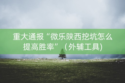 重大通报“微乐陕西挖坑怎么提高胜率”（外辅工具)