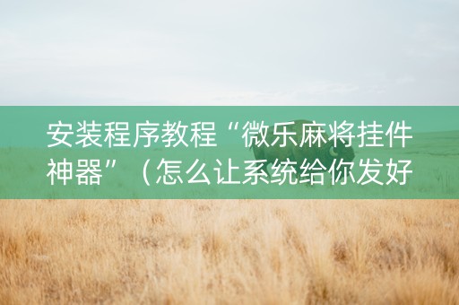 安装程序教程“微乐麻将挂件神器”（怎么让系统给你发好牌)