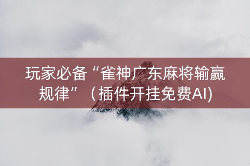 玩家必备“雀神广东麻将输赢规律”（插件开挂免费AI)