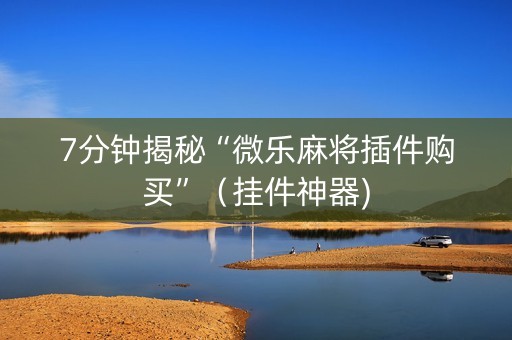 7分钟揭秘“微乐麻将插件购买”（挂件神器)