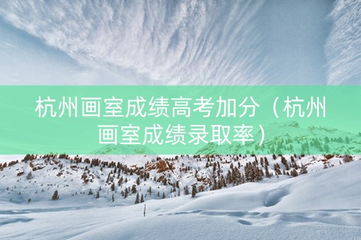 杭州画室成绩高考加分（杭州画室成绩录取率）