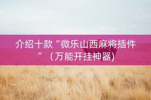 介绍十款“微乐山西麻将插件”（万能开挂神器)