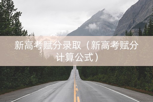 新高考赋分录取（新高考赋分计算公式）
