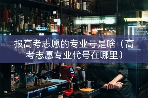 报高考志愿的专业号是啥（高考志愿专业代号在哪里）
