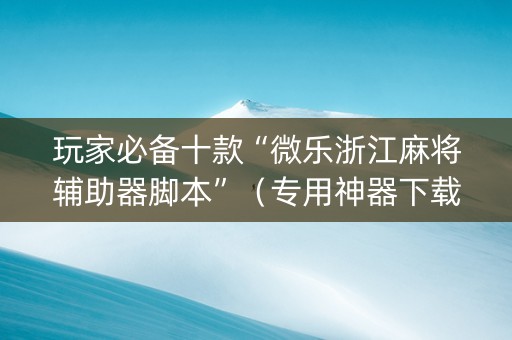 玩家必备十款“微乐浙江麻将辅助器脚本”（专用神器下载)