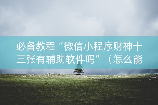 必备教程“微信小程序财神十三张有辅助软件吗”（怎么能得到好牌)