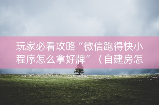玩家必看攻略“微信跑得快小程序怎么拿好牌”（自建房怎么赢)