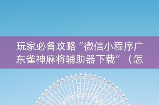 玩家必备攻略“微信小程序广东雀神麻将辅助器下载”（怎么设置才能赢)