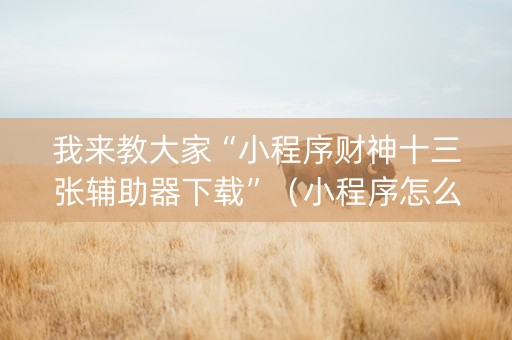 我来教大家“小程序财神十三张辅助器下载”（小程序怎么才会赢)