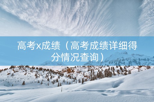 高考x成绩（高考成绩详细得分情况查询）