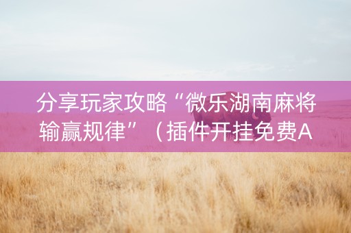 分享玩家攻略“微乐湖南麻将输赢规律”（插件开挂免费AI)