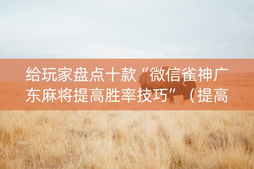 给玩家盘点十款“微信雀神广东麻将提高胜率技巧”（提高胜率软件)