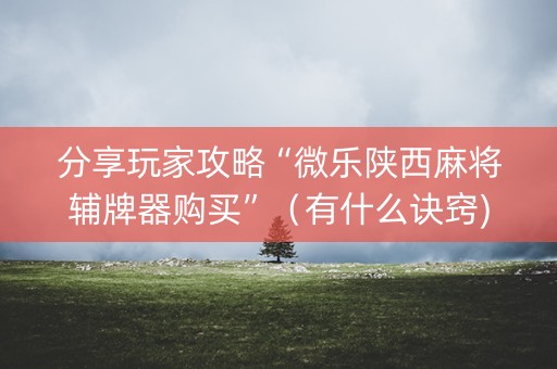 分享玩家攻略“微乐陕西麻将辅牌器购买”（有什么诀窍)