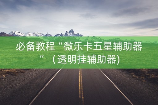 必备教程“微乐卡五星辅助器”（透明挂辅助器)