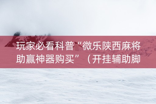 玩家必看科普“微乐陕西麻将助赢神器购买”（开挂辅助脚本)