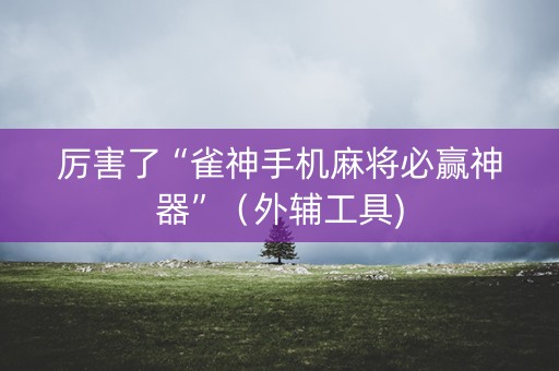 厉害了“雀神手机麻将必赢神器”（外辅工具)