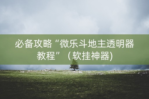 必备攻略“微乐斗地主透明器教程”（软挂神器)