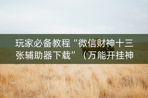 玩家必备教程“微信财神十三张辅助器下载”（万能开挂神器)