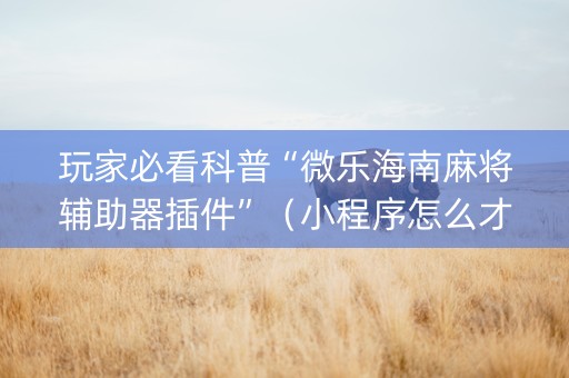 玩家必看科普“微乐海南麻将辅助器插件”（小程序怎么才会赢)