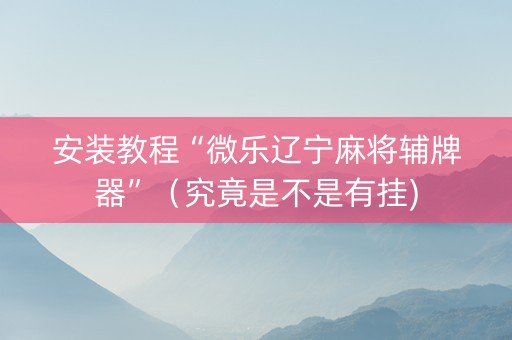 安装教程“微乐辽宁麻将辅牌器”（究竟是不是有挂)