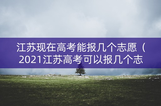江苏现在高考能报几个志愿（2021江苏高考可以报几个志愿）