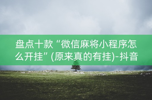 盘点十款“微信麻将小程序怎么开挂”(原来真的有挂)-抖音