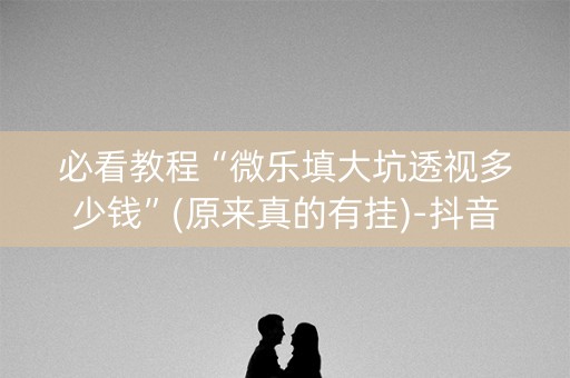 必看教程“微乐填大坑透视多少钱”(原来真的有挂)-抖音